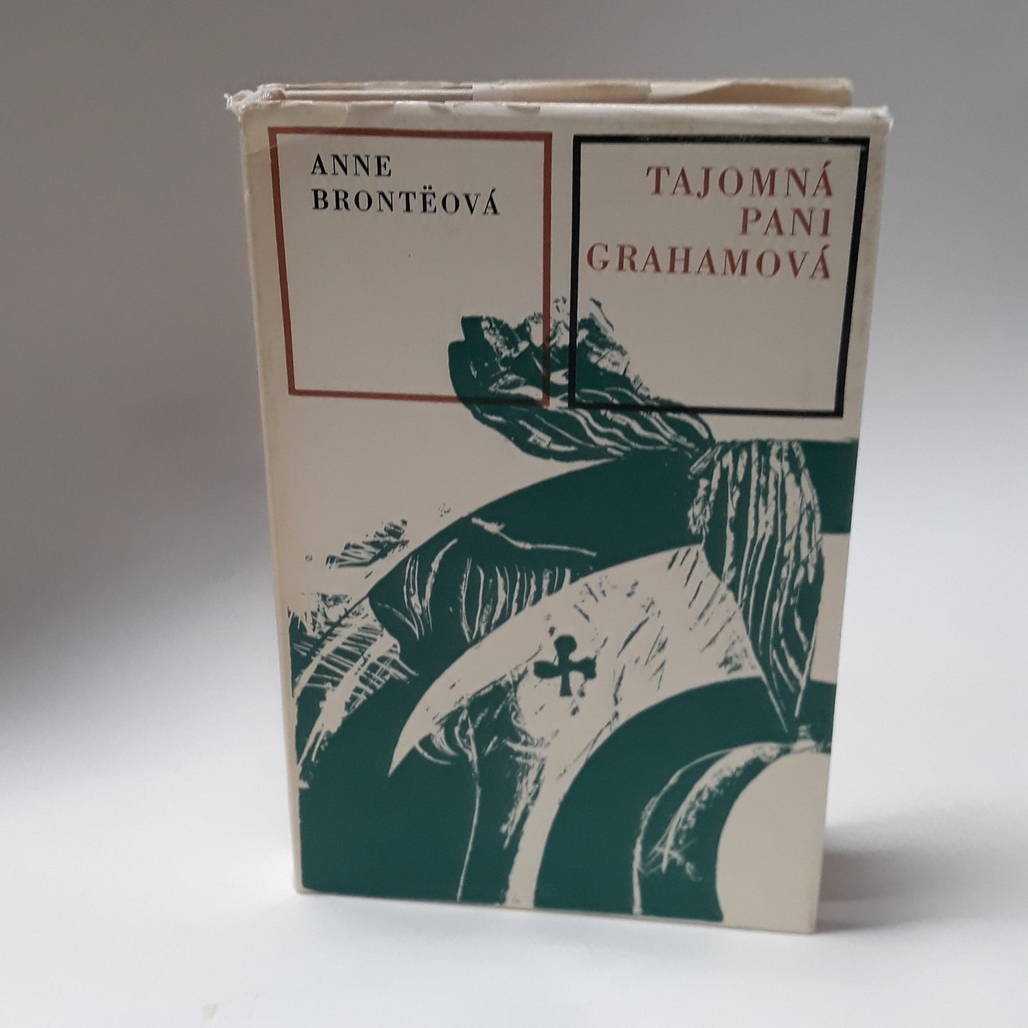 Tajomná pani Grahamová