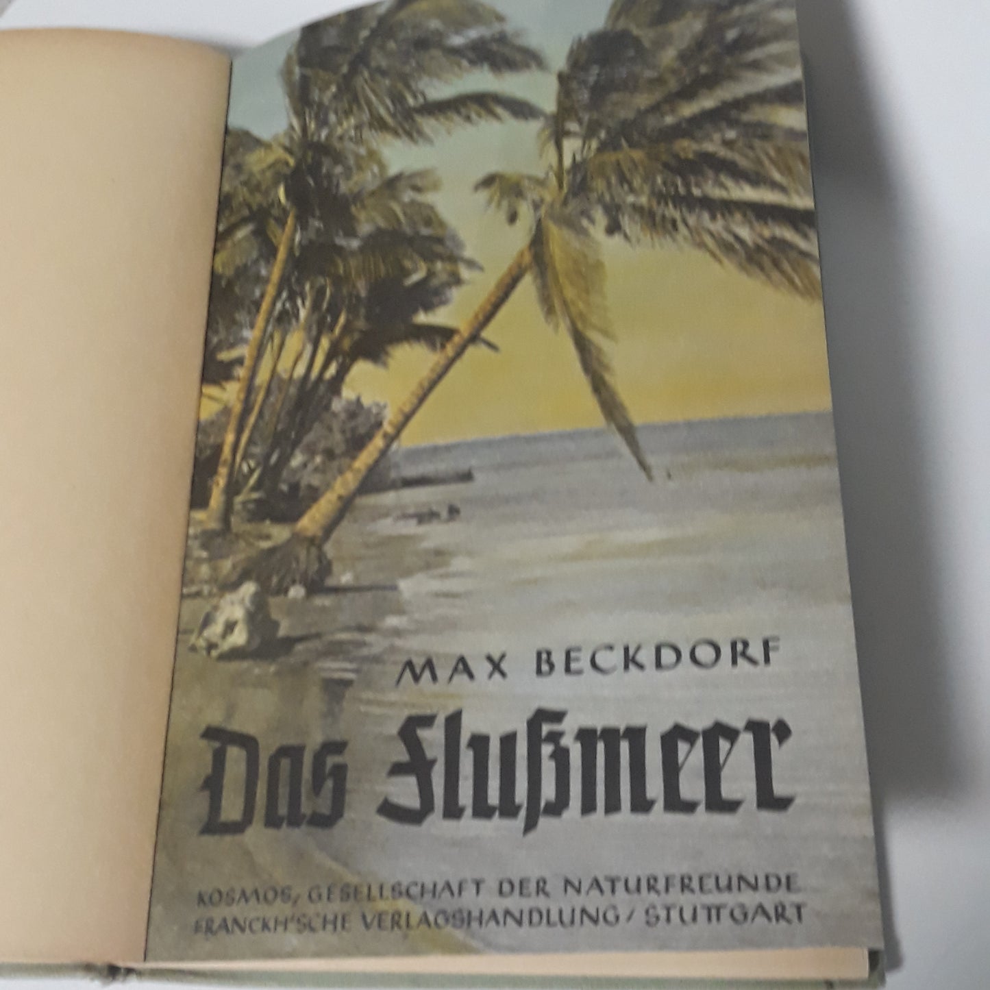 Das Flußmeer