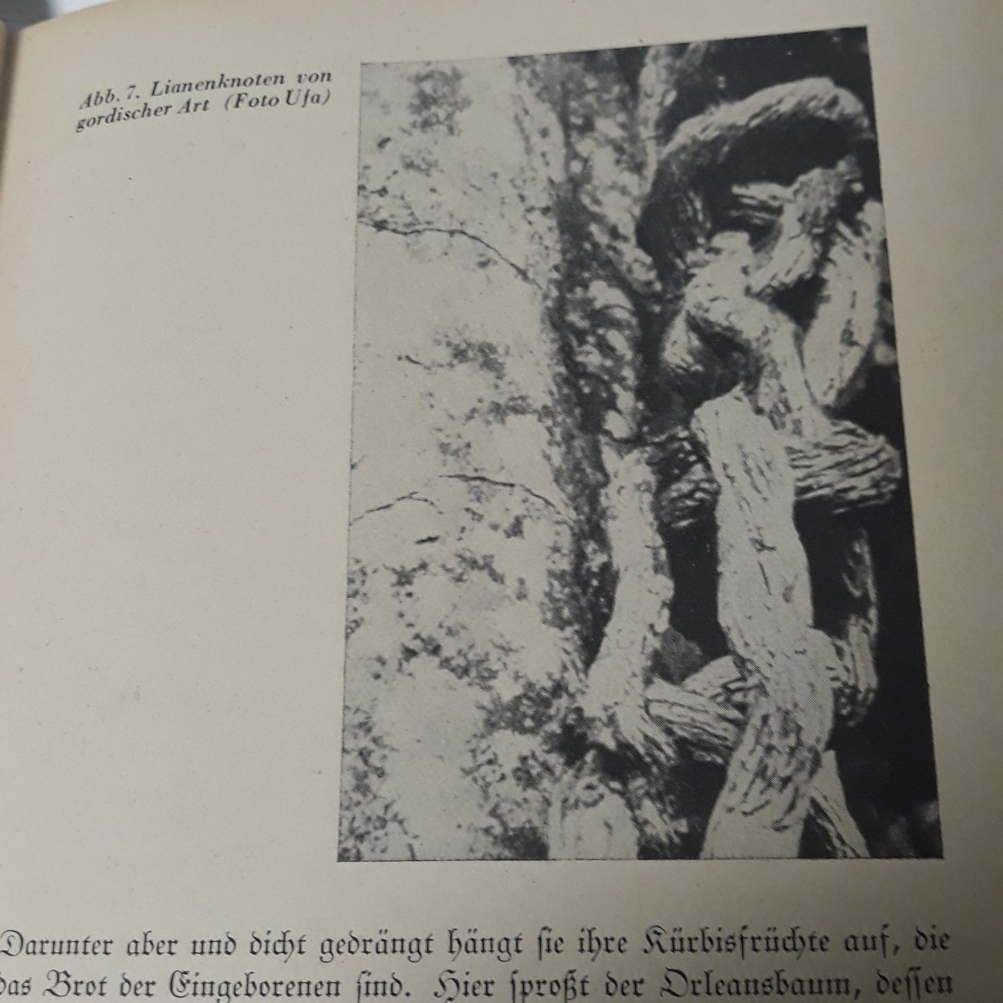 Das Flußmeer
