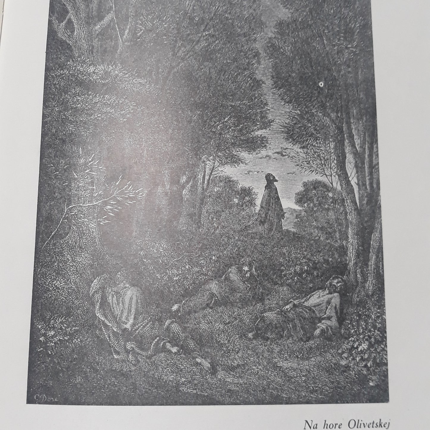 Život nášho spasiteľa Ježiša Krista