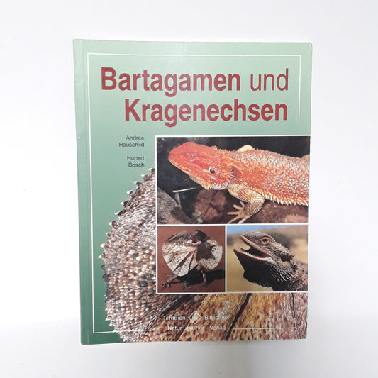 Bartagamen und Kragenechsen