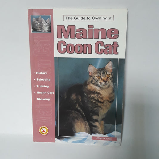 Maine Coon Cat