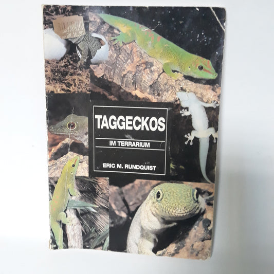 Taggeckos