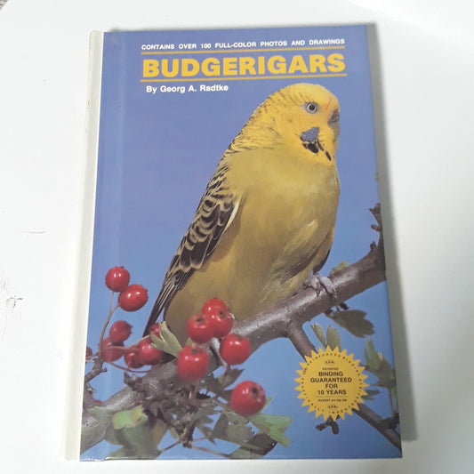 Budgerigars