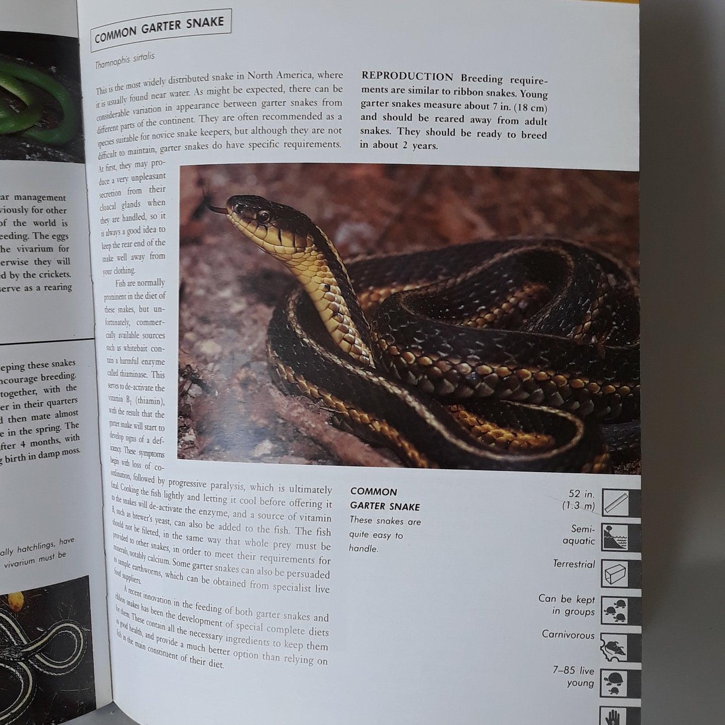 The Reptile Survival Manual