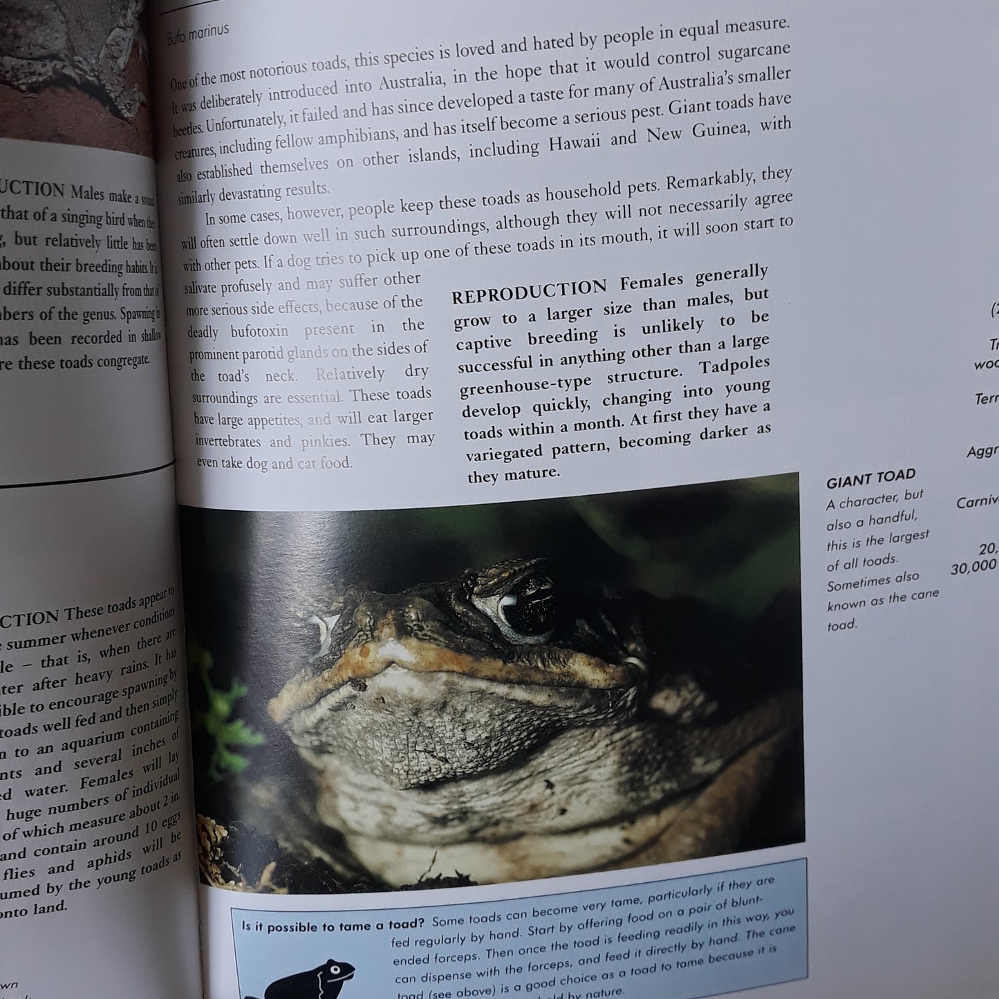 The Reptile Survival Manual