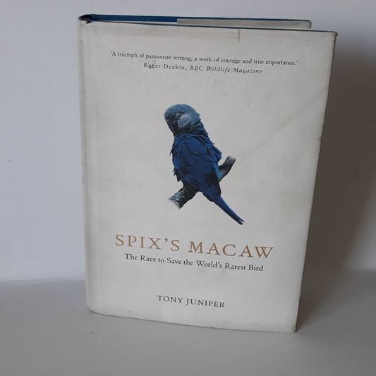 Spix's Macaw