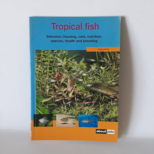 Tropical fish