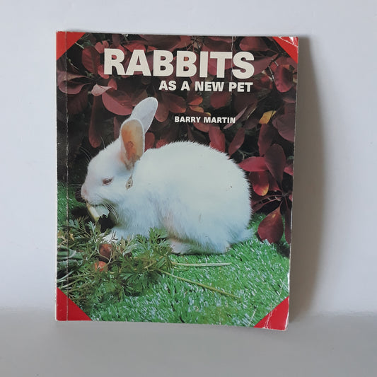 Rabbits as a new pet