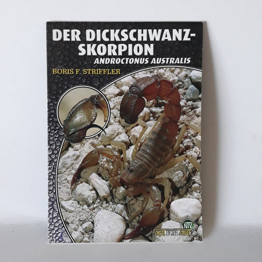 Der diskschwanz skorpion