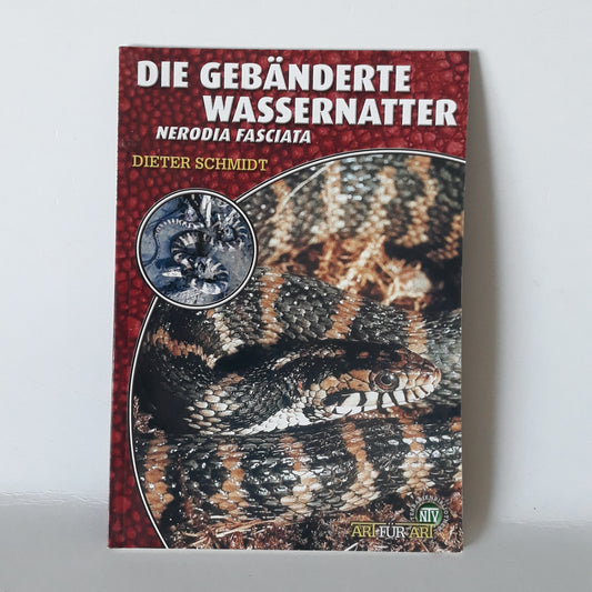 Die gebänderte wassernatter