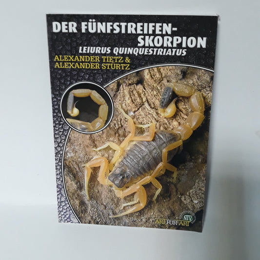 Der fünfstreifen skorpion