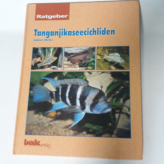 Tanganjikaseecichliden