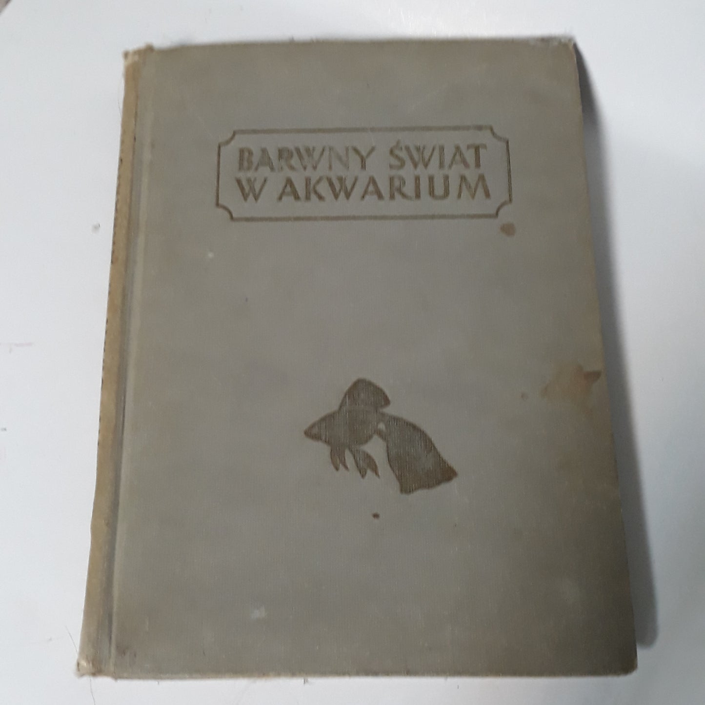 Barwny swiat w akwarium