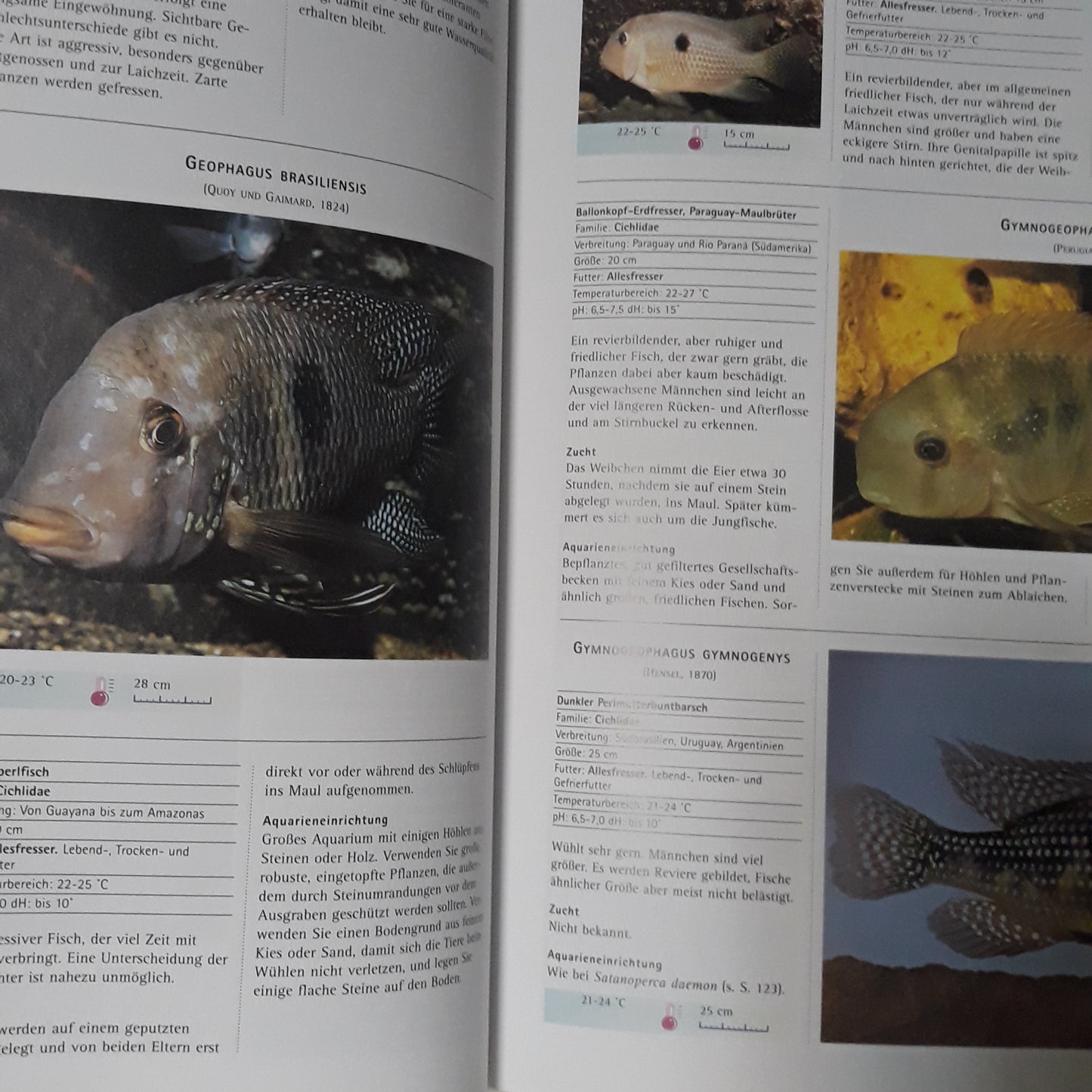 Die farbige enzyklopädie der aquarien fische