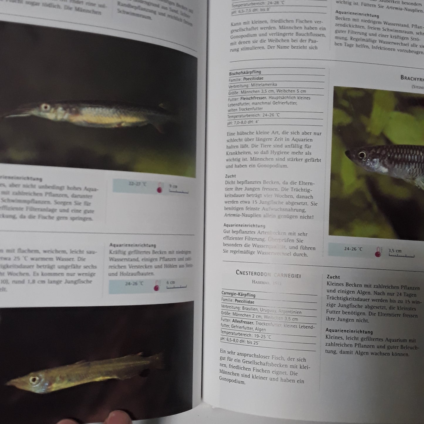 Die farbige enzyklopädie der aquarien fische