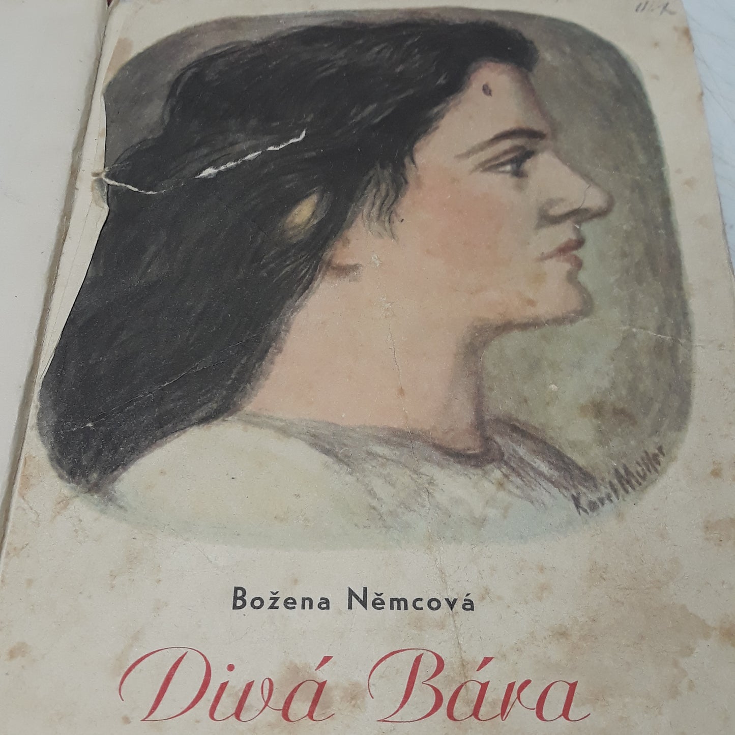 Divá Bára