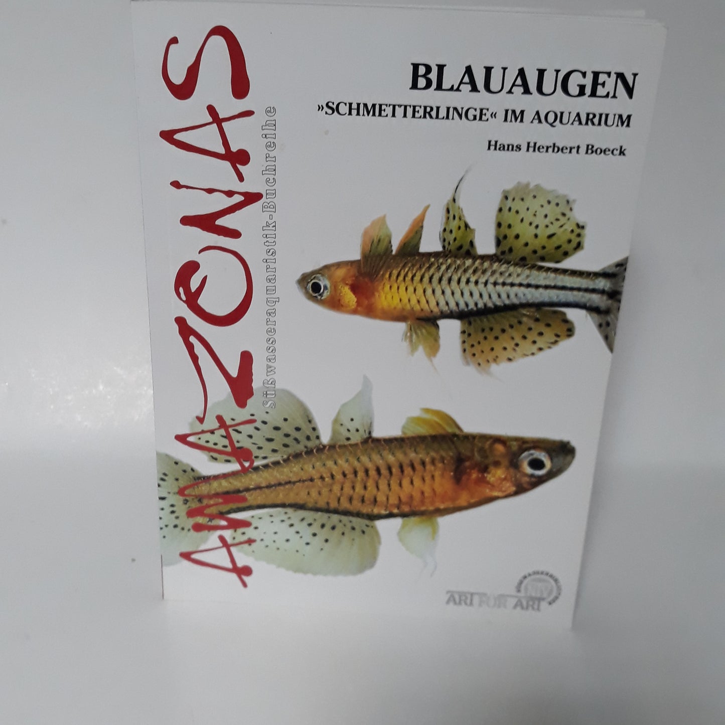 Blauaugen "Schmetterlinge" im aquarium