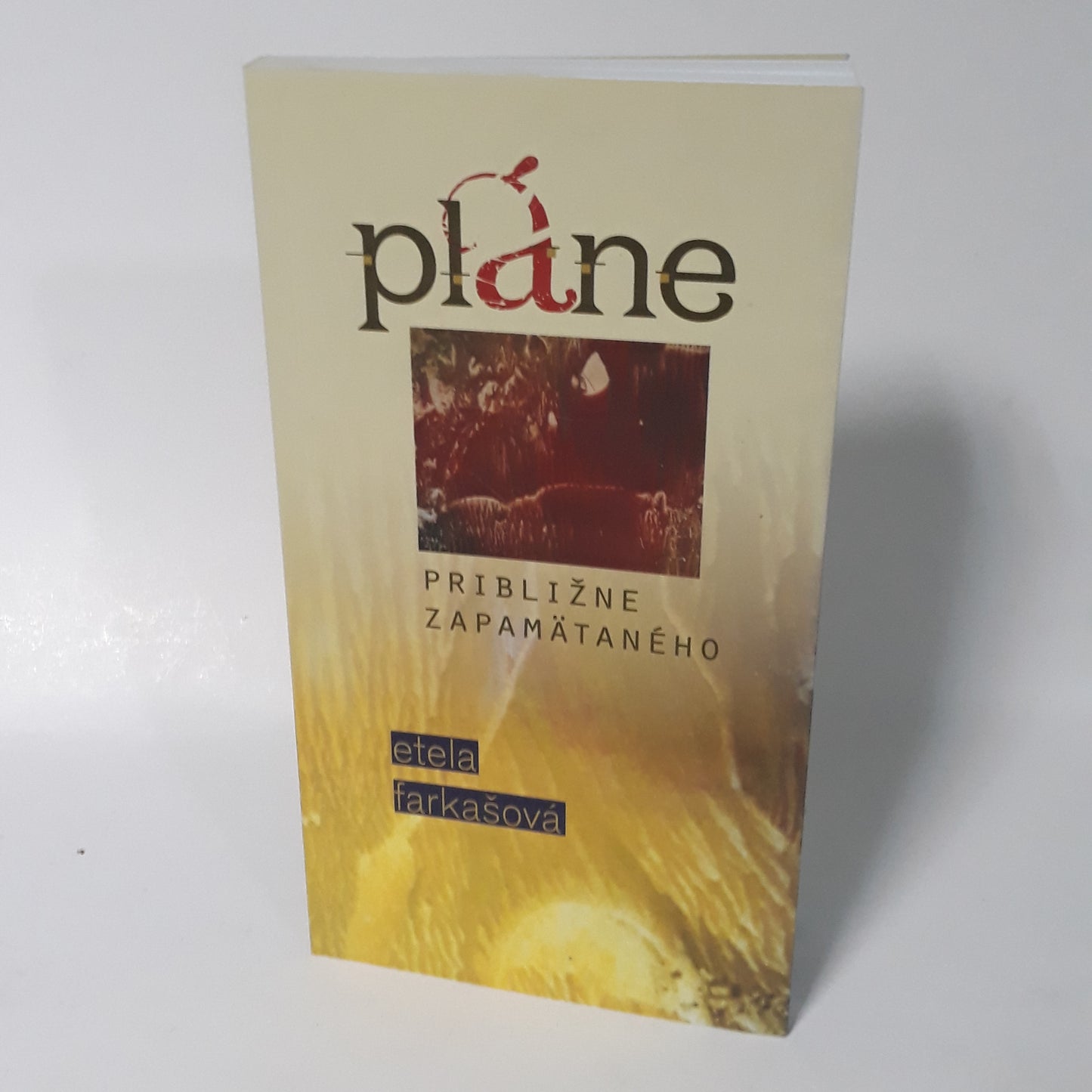 Pláne približne zapamätaného