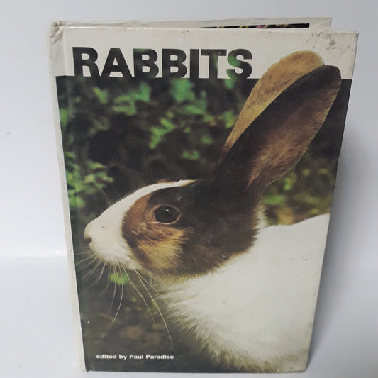 Rabbits