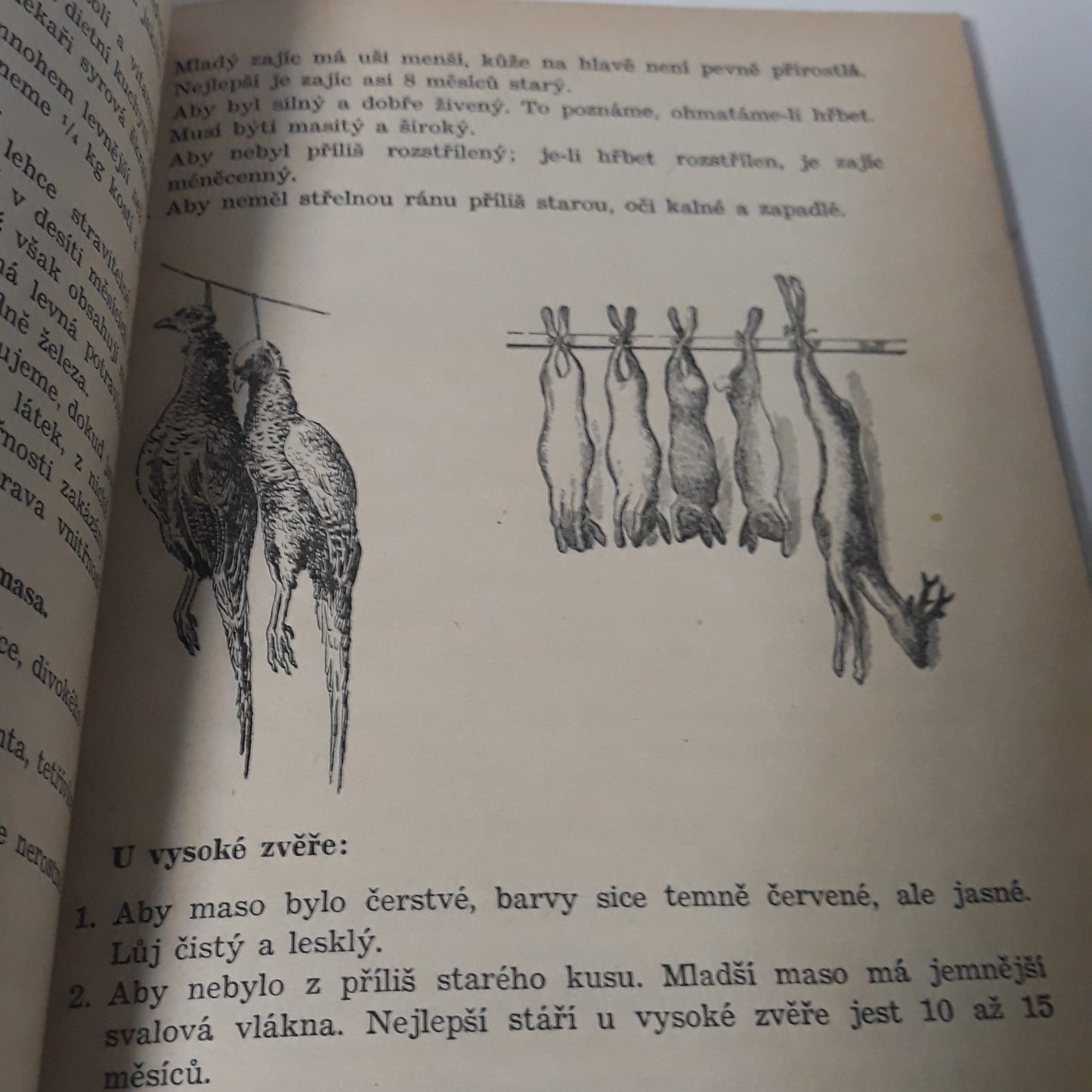 Učebnice vaření pro dívčí školy druhého stupně