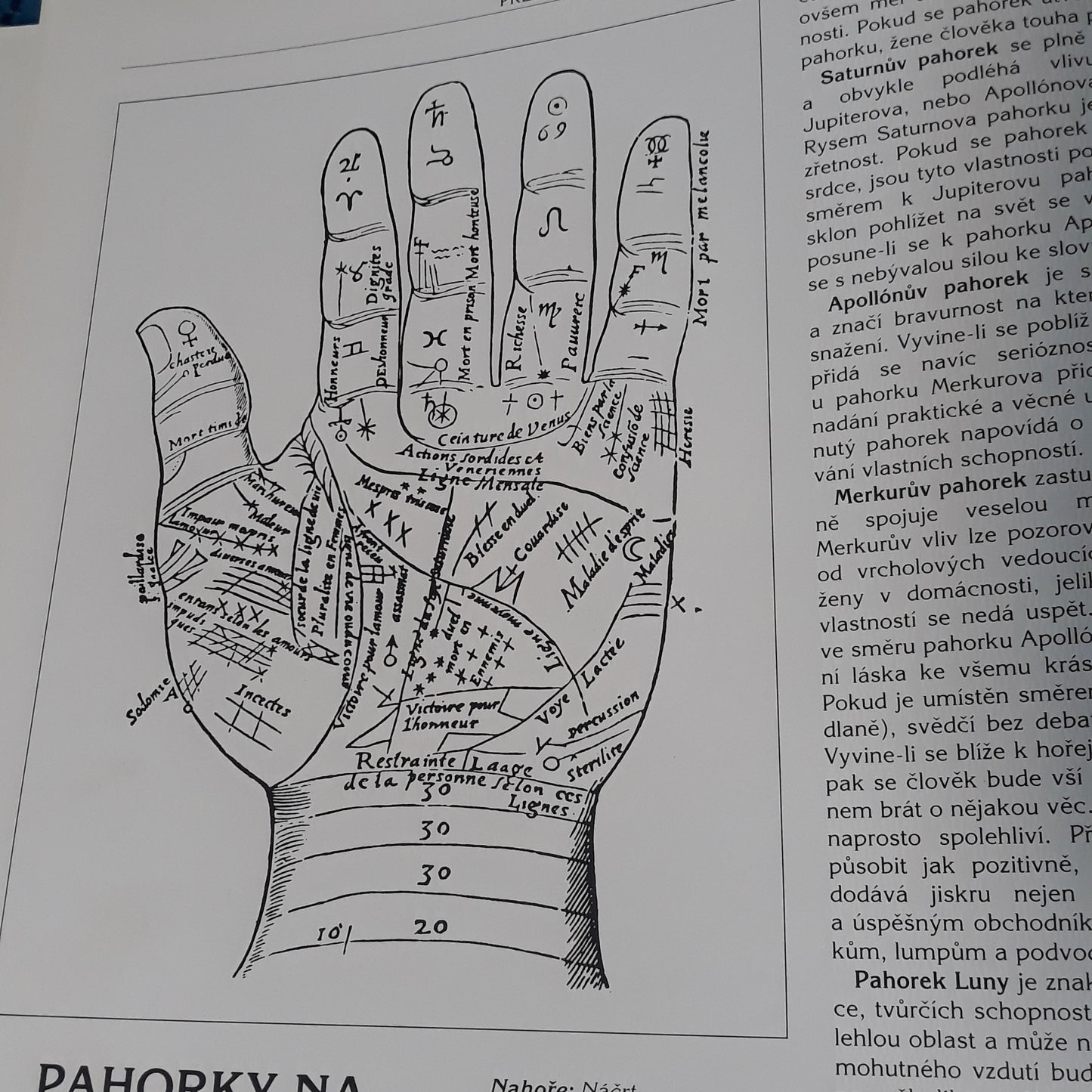 Předpovídání budoucnosti