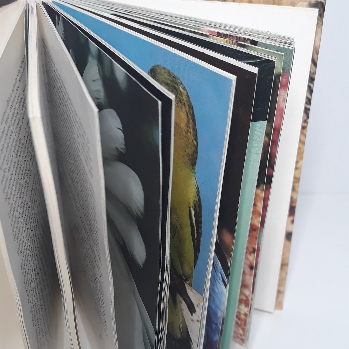 Kapesní atlas cizokrajných ptáků