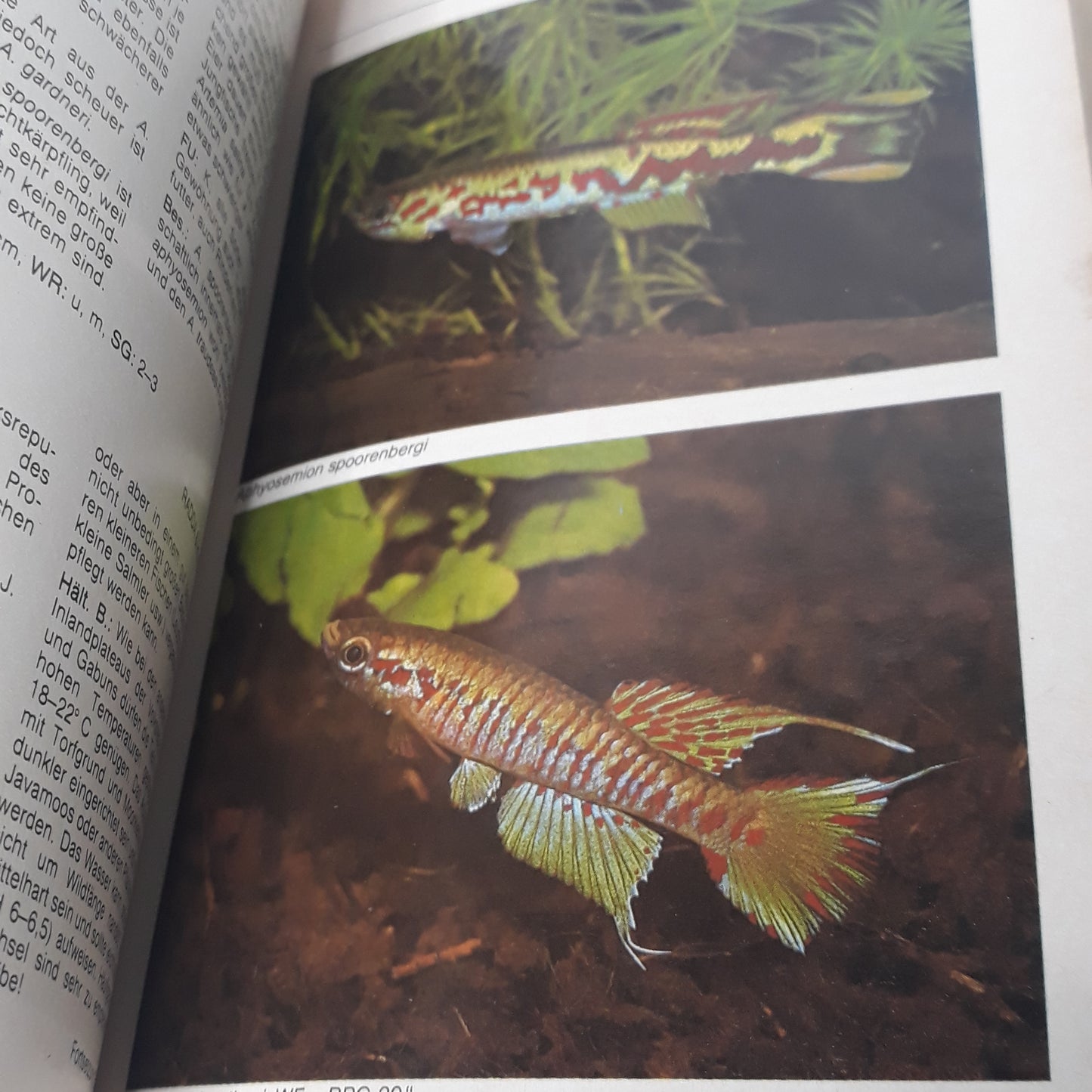 Aquarien Atlas 2