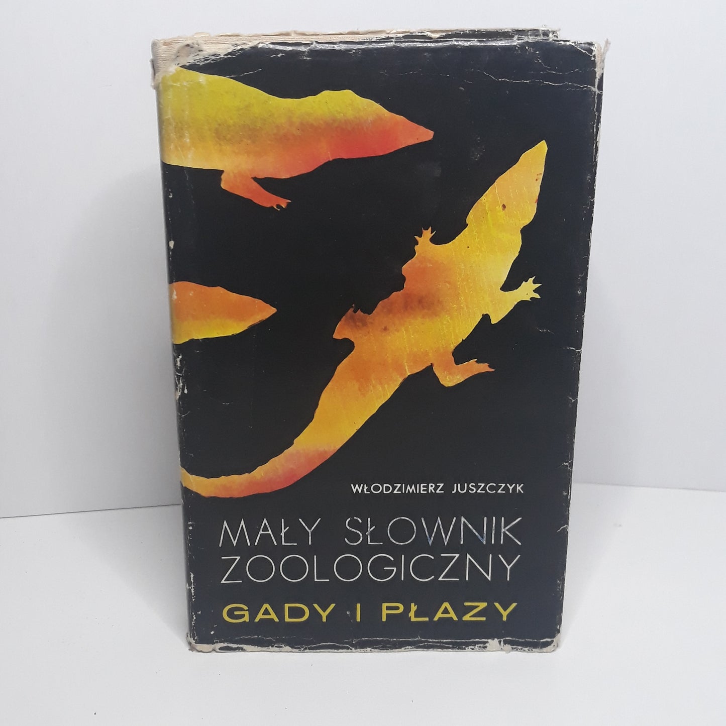 Mały słownik zoologiczny - gady i płazy