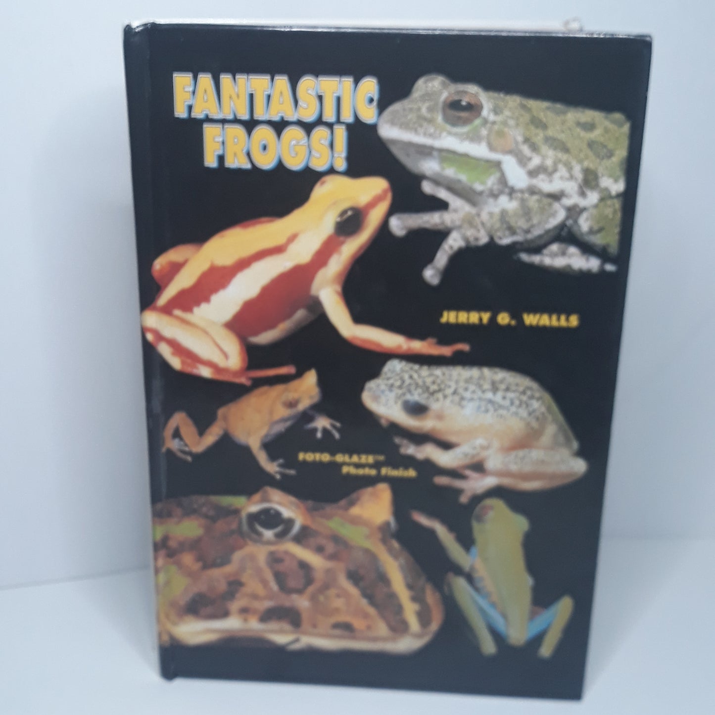 Fantastic frogs!
