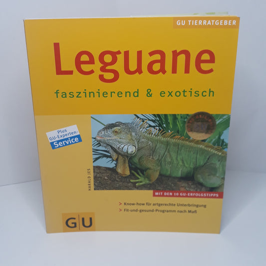 Leguane faszinierend & exotisch