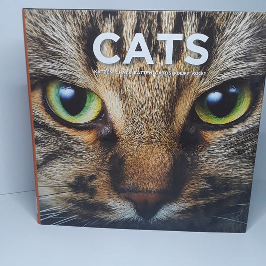 Cats