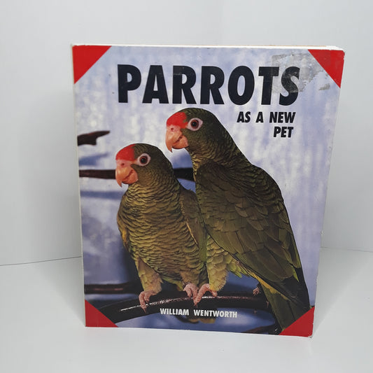 Parrots as a new pet