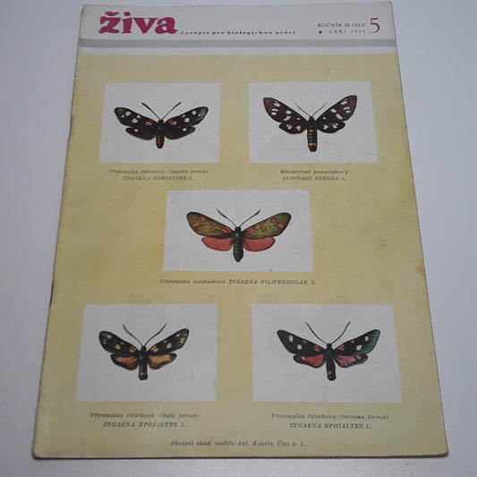 Živa 5/1955