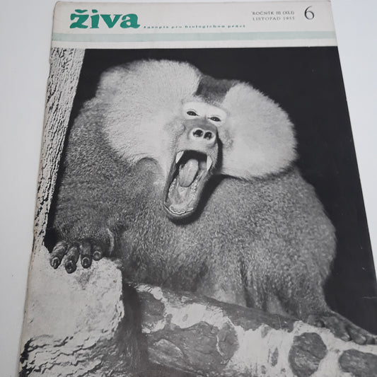 Živa 6/1955