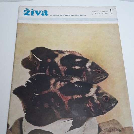 Živa 1/1956