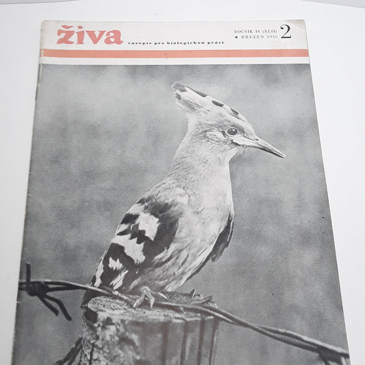 Živa 2/1956