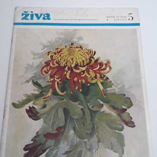 Živa 5/1956