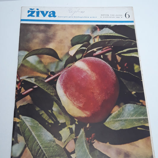 Živa 6/1960