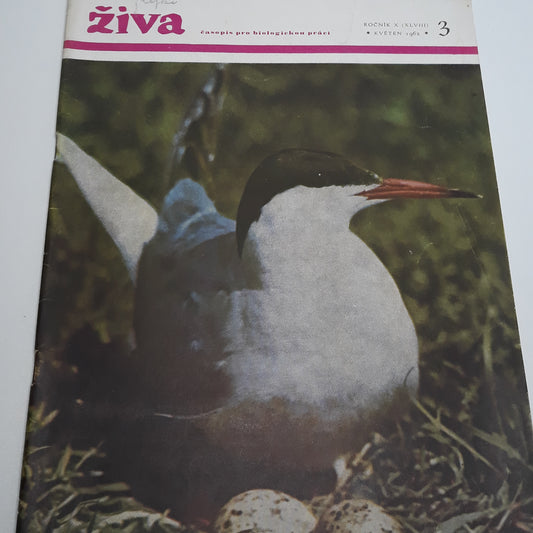 Živa 3/1962