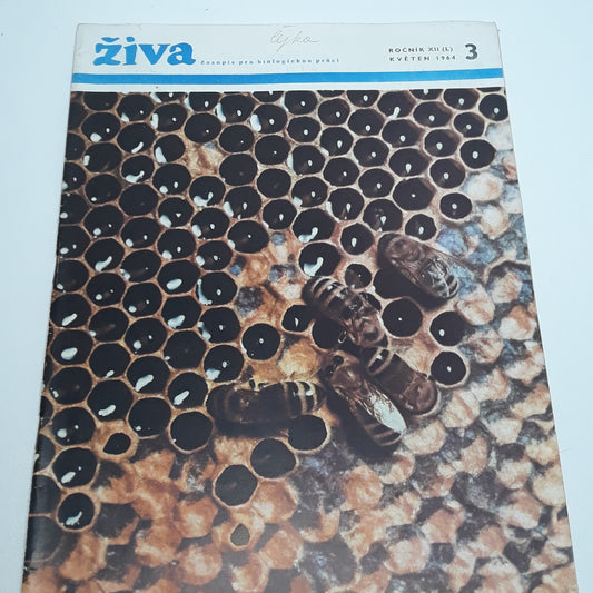Živa 3/1964