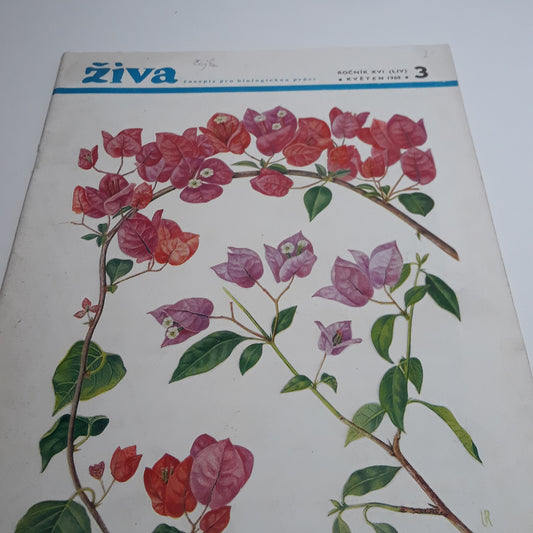 Živa 3/1968