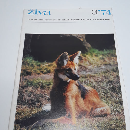 Živa 3/1974