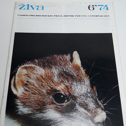 Živa 6/1974