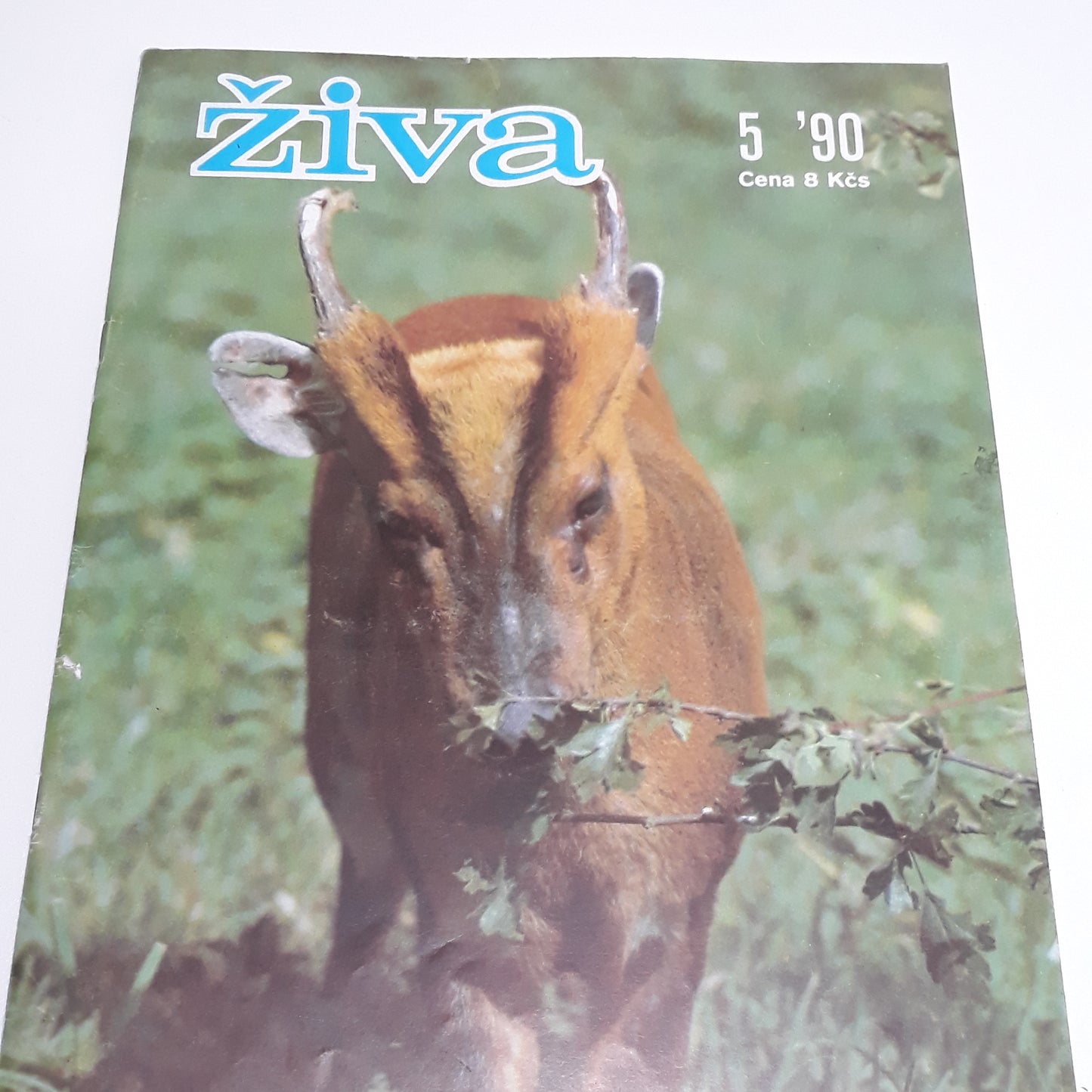 Živa 5/1990