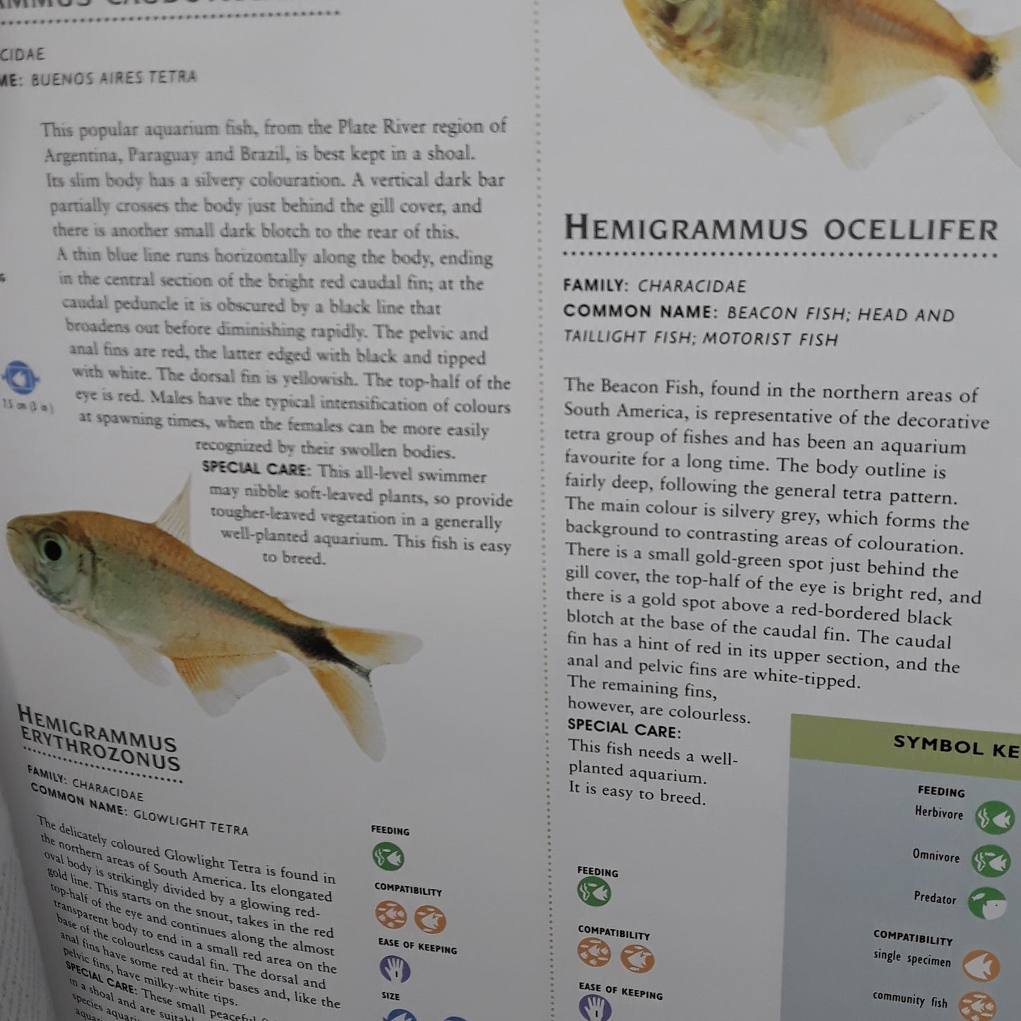 The Encyclopedia of Aquarium Fish