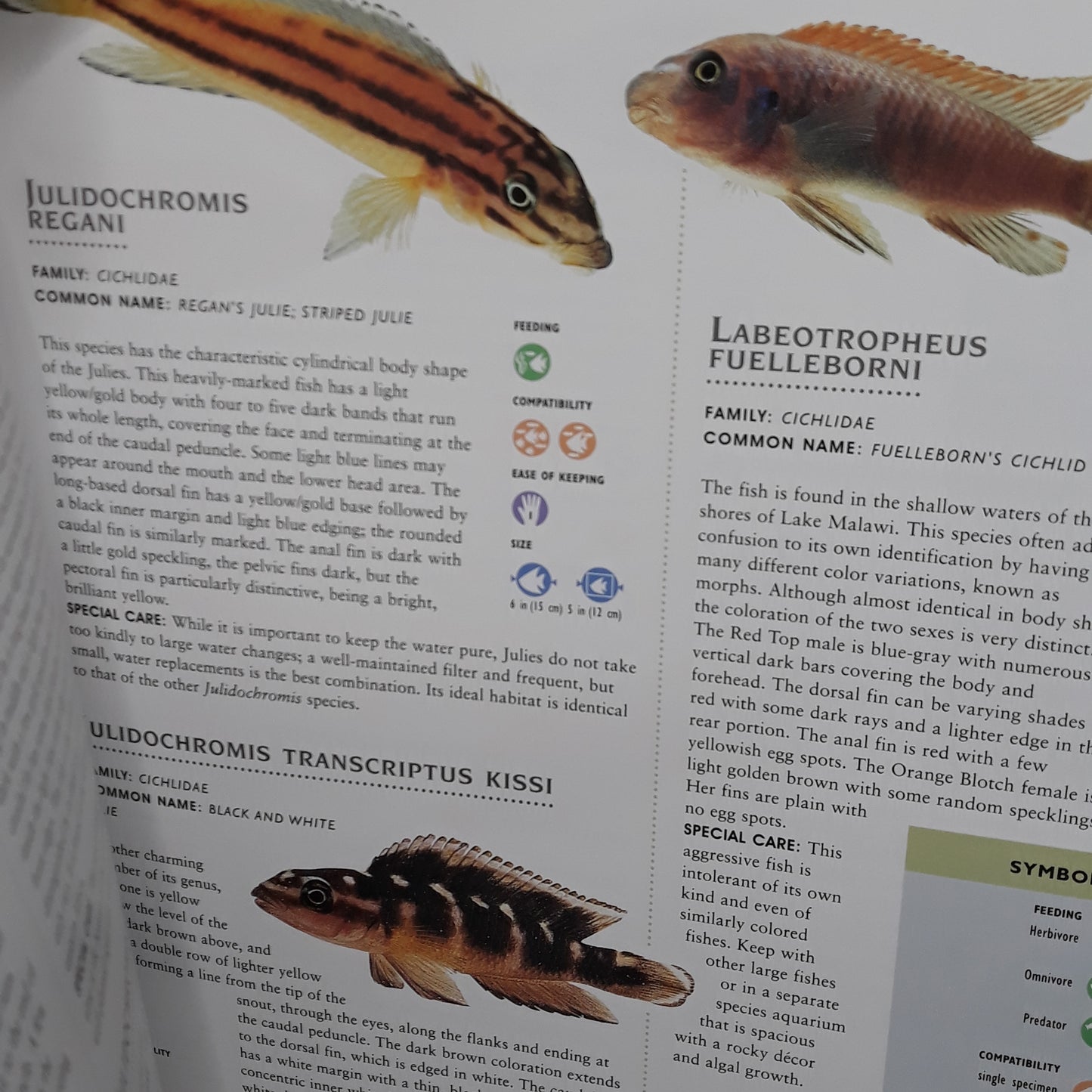 The Encyclopedia of Aquarium Fish