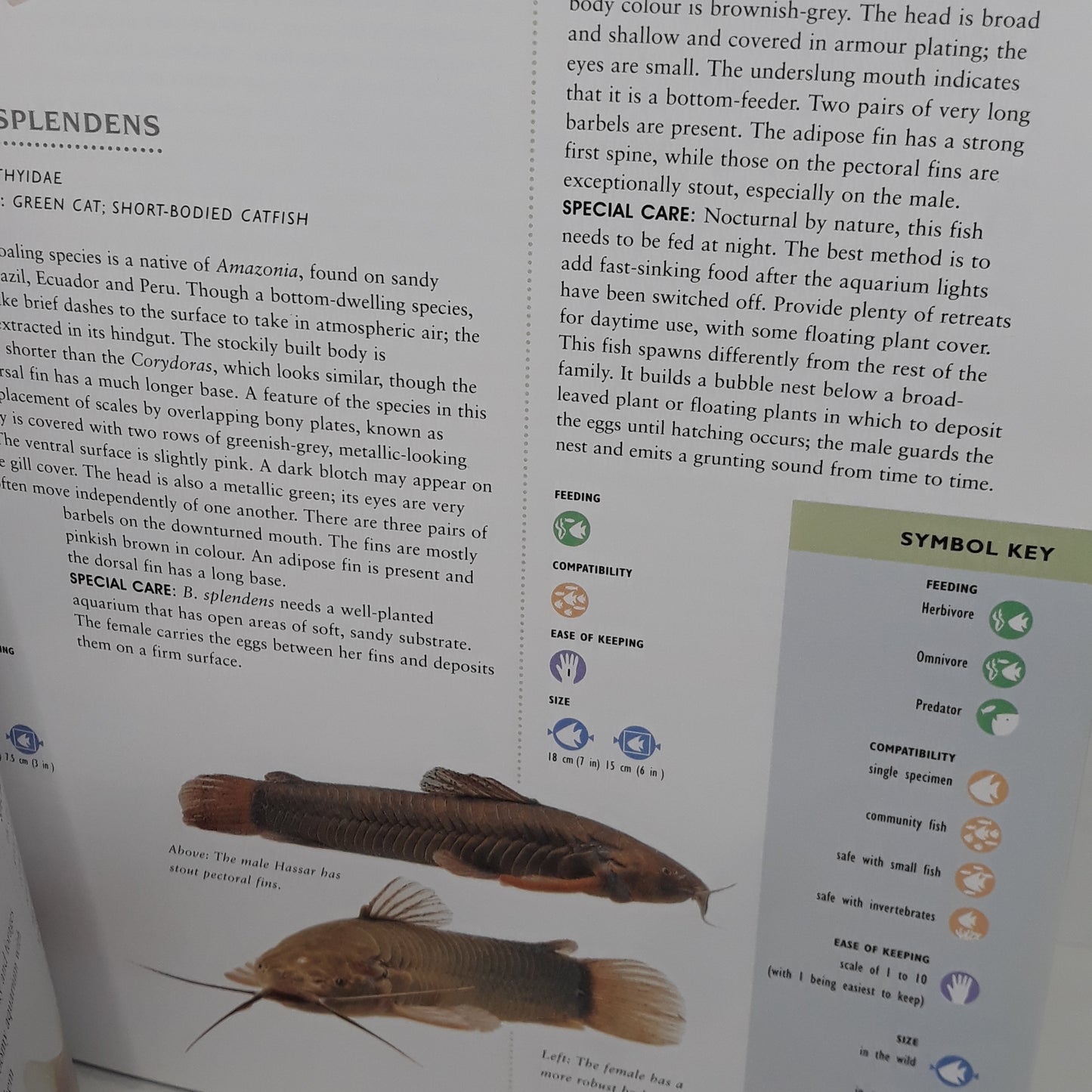 The Encyclopedia of Aquarium Fish
