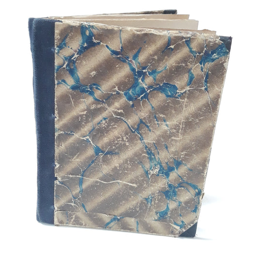 Dvůr krále Václava