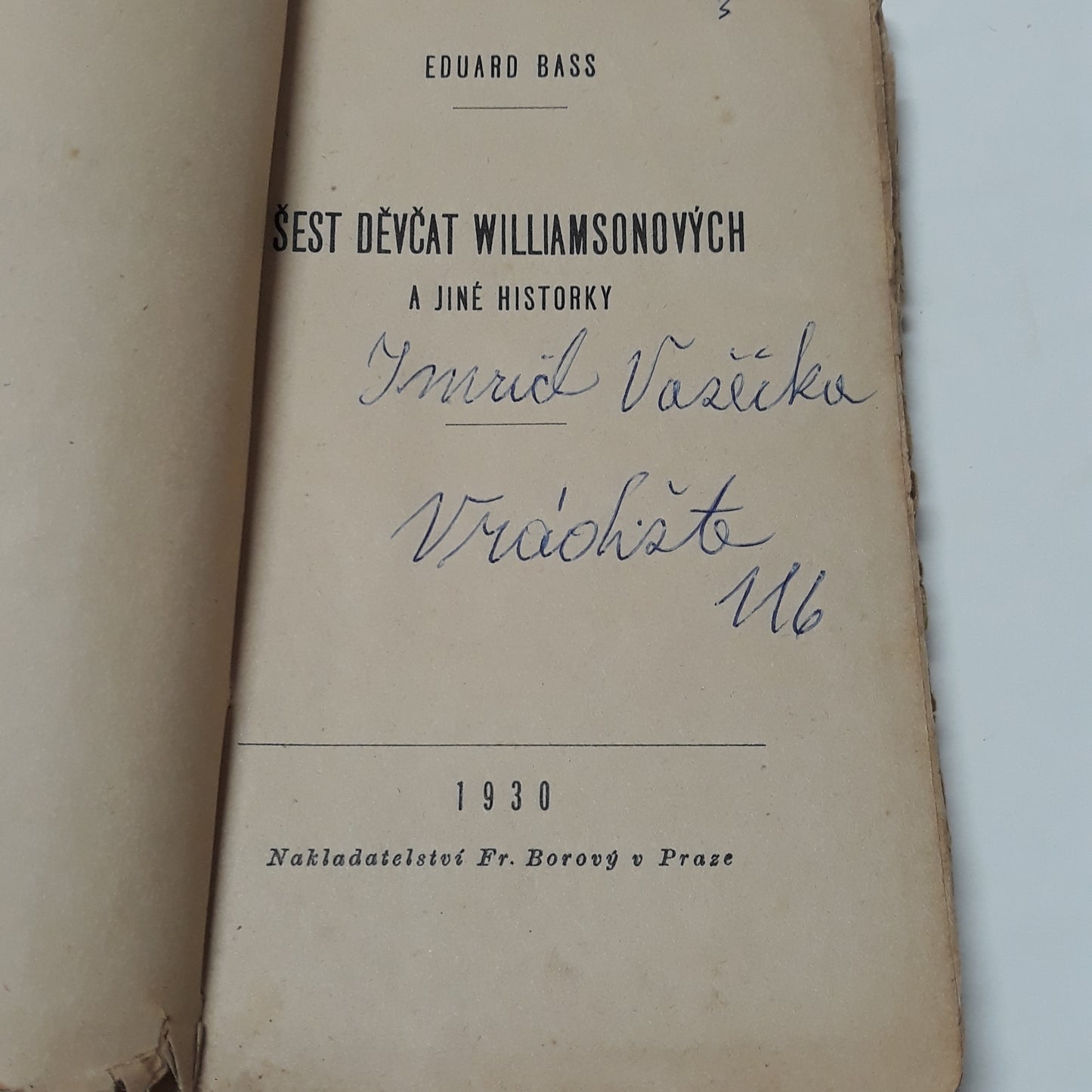 Šest děvčat Williamsonových a jiné historky